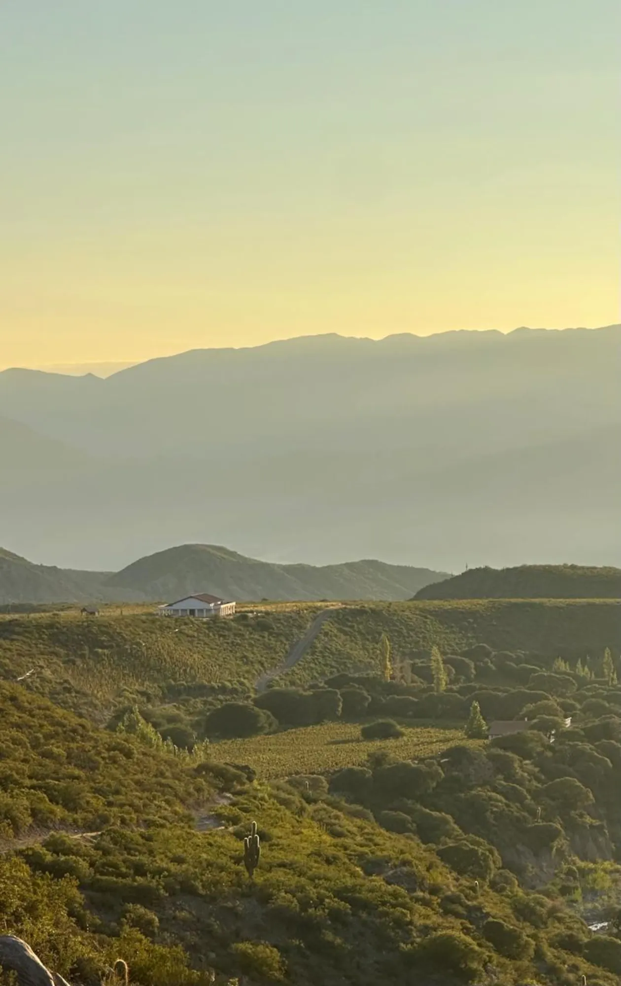 Hora dorada sobre el valle con la bodega entre montañas